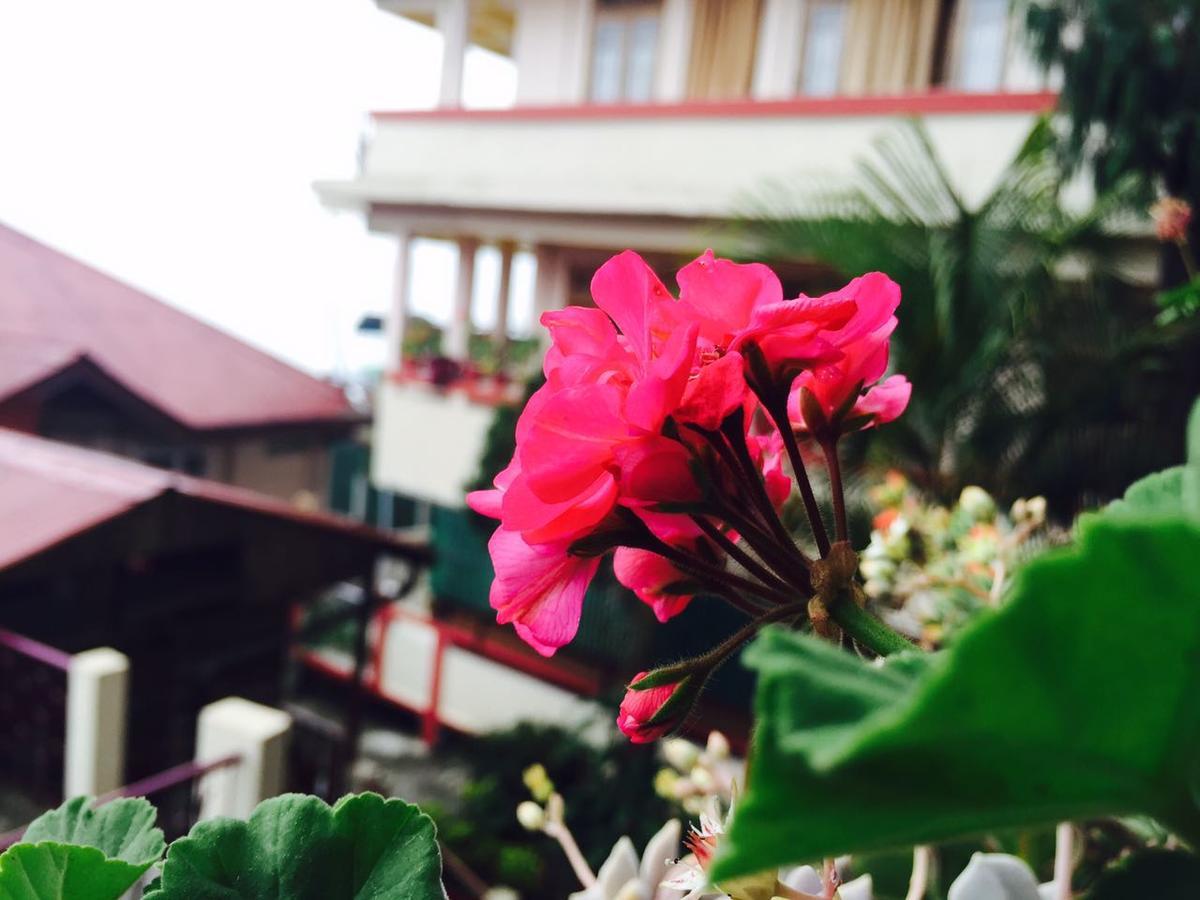 Deki Lodge Kalimpong Exteriér fotografie